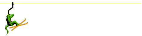 Mozilla Ski Animated